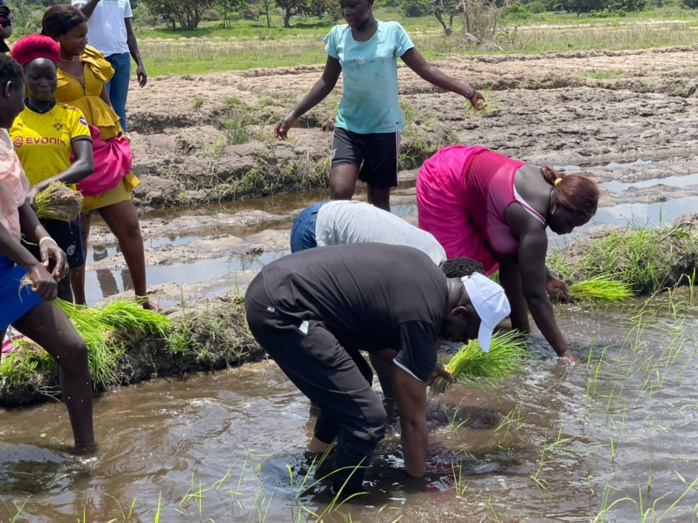 Présidentielle 2024 : Alioune Sarr ressuscite les hôtels fermés Présidentielle 2024 : Alioune Sarr ressuscite les hôtels fermés