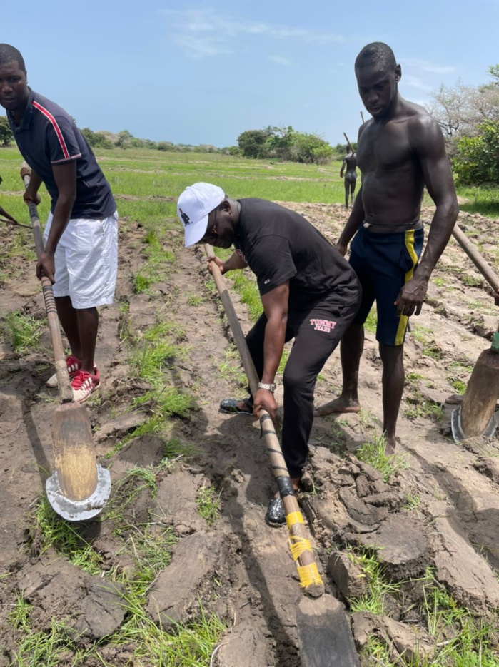 Présidentielle 2024 : Alioune Sarr ressuscite les hôtels fermés Présidentielle 2024 : Alioune Sarr ressuscite les hôtels fermés