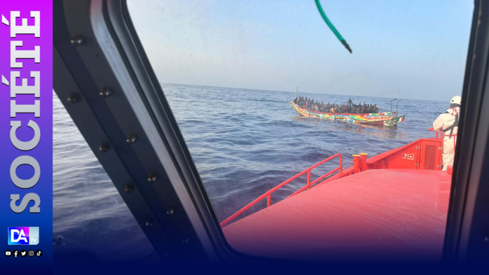 Îles Canaries: Deux convois de 156 migrants dont une femme et un bébé, partis du Sénégal débarquent à Ténérife et à El Hierro
