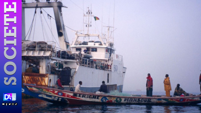 Privatisation des infrastructures de congélation offertes par le Canada au Sénégal : Parfum de scandale dans le secteur de la pêche artisanale !