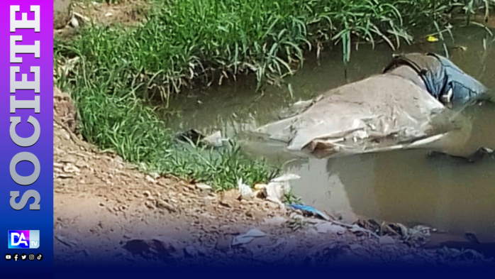 Kaolack: Le corps d'un garçon de 4 ans découvert à Tabangoye Kaolack: Le corps d'un garçon de 4 ans découvert à Tabangoye