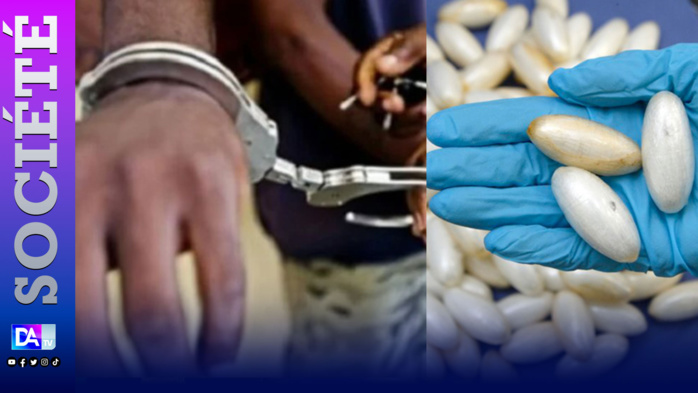 Trafic international de drogue : Fin du long bail du «modou-modou» Dame Lo qui tombe avec 645 pilules Ecstasy