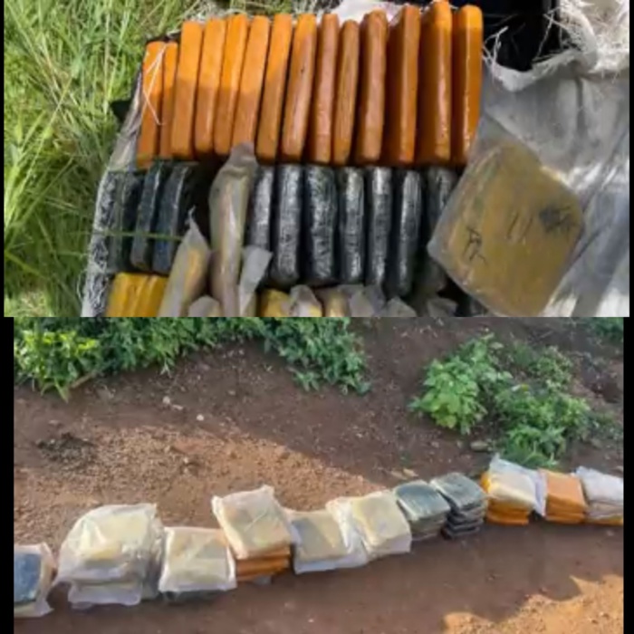 Kédougou /Lutte contre le Trafic de drogue : 54 kg de Yamba saisis entre Tinkhoto et Mako.