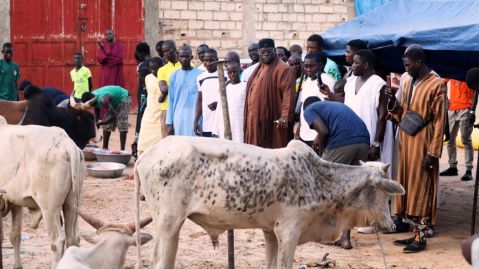 Berndé et Ganalé : Serigne Bassirou Mbacke Khadim Awa Ba déploie les gros moyens pour un Magal exceptionnel ! Berndé et Ganalé : Serigne Bassirou Mbacke Khadim Awa Ba déploie les gros moyens pour un Magal exceptionnel !