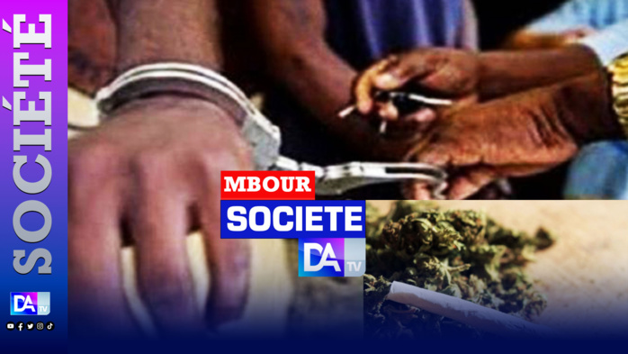Mbour / Lutte contre le trafic de drogue : 78 kg de Yamba saisis, 06 trafiquants arrêtés! Mbour / Lutte contre le trafic de drogue : 78 kg de Yamba saisis, 06 trafiquants arrêtés!