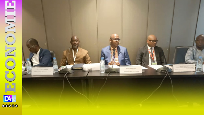 Saraya / Exploitation minière : « Ces sociétés sont en train de faire un travail remarquable, mais il faut leⁿ dire, il reste aussi des choses à faire... » ( Moussa Danfakha / PCD Saraya) Saraya / Exploitation minière : « Ces sociétés sont en train de faire un travail remarquable, mais il faut leⁿ dire, il reste aussi des choses à faire... » ( Moussa Danfakha / PCD Saraya)