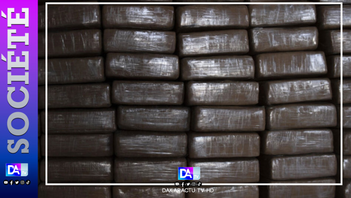 Maroc : 1.370 kg (1,3 tonne) de cocaïne saisis par la police dans des palettes de poisson congelé à Casablanca