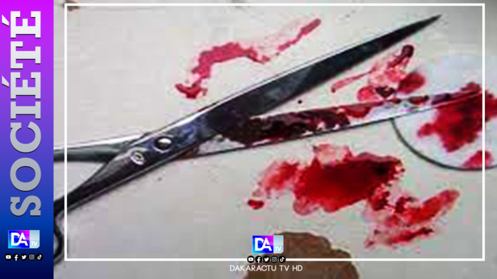 HLM 4 : Un « marketman » fait la bamboula avec l’argent de son fournisseur et le poignarde en plein coeur HLM 4 : Un « marketman » fait la bamboula avec l’argent de son fournisseur et le poignarde en plein coeur