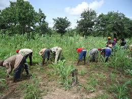 Itato, c’est parti ! Les « Diouras » ne font plus rêver