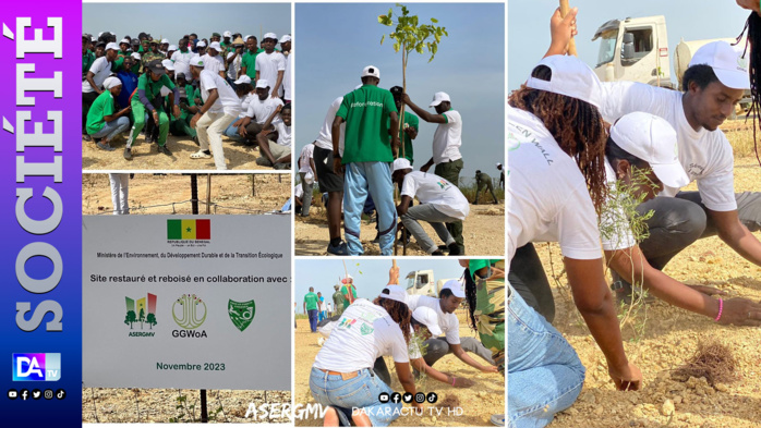 Forêt classée de Thiès : 5ha d’une ancienne carrière restaurée avec des plants variés de 3m par GGWoA, la DEFCCS et l’ASERGMV Forêt classée de Thiès : 5ha d’une ancienne carrière restaurée avec des plants variés de 3m par GGWoA, la DEFCCS et l’ASERGMV