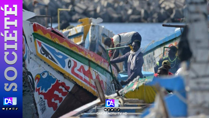 Espagne: 212 migrants clandestins partis du Sénégal, débarquent à El Hierro Espagne: 212 migrants clandestins partis du Sénégal, débarquent à El Hierro