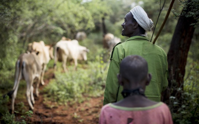 ProAct : Un Bouclier Contre la Faim en Afrique de l’Ouest et au Sahel