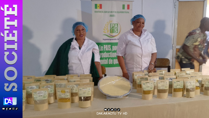 Autonomisation des femmes à Kolda : une douzaine de femmes formées sur la transformation des produits céréaliers par le programme agricole Italie/Sénégal.