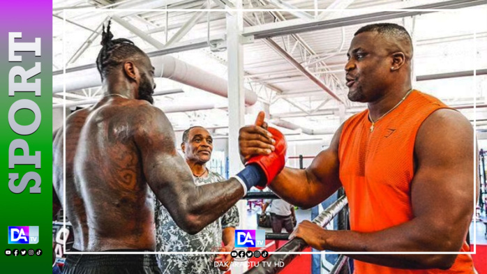 MMA : le patron du PLF a laissé entendre un possible combat entre Ngannou et Wilder, l’homme aux 43 victoires dont 42 par KO. MMA : le patron du PLF a laissé entendre un possible combat entre Ngannou et Wilder, l’homme aux 43 victoires dont 42 par KO.