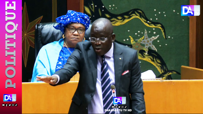 Assemblée nationale : le ministre de la Culture annonce la journée nationale de la résistance Assemblée nationale : le ministre de la Culture annonce la journée nationale de la résistance