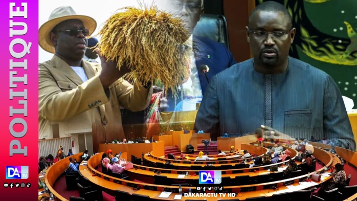Prix plancher du Kg d’arachide à 280 francs : Les éclairages du ministre Samba Ndiobène Ka Prix plancher du Kg d’arachide à 280 francs : Les éclairages du ministre Samba Ndiobène Ka