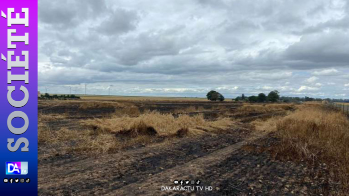 Koungheul: Plusieurs tonnes de récoltes de mil ravagées par un incendie à Pakala