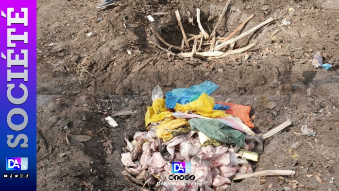 KOLDA : Incinération de plus de 188 kg de cuisses de poulet impropres à la consommation… KOLDA : Incinération de plus de 188 kg de cuisses de poulet impropres à la consommation…