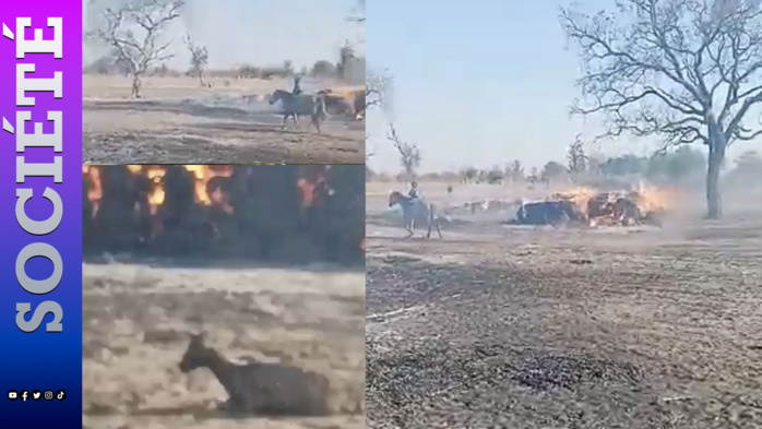 Kouthiaba Wolof : d’importants dégâts matériels causés par un incendie au village de Boyngual Dady