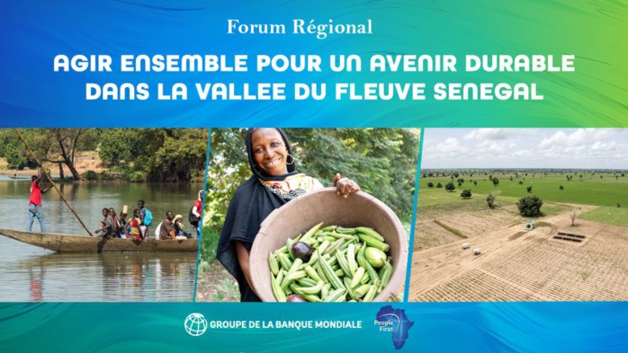 Saint-Louis : La BM discute des stratégies d'adaptation au changement climatique dans la vallée du fleuve sénégal (VFS) Saint-Louis : La BM discute des stratégies d'adaptation au changement climatique dans la vallée du fleuve sénégal (VFS)