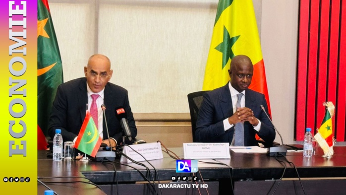 Projet Grand Tortue Ahmeyim (GTA): L’Etat d’avancement des travaux achevés à 91% Projet Grand Tortue Ahmeyim (GTA): L’Etat d’avancement des travaux achevés à 91%