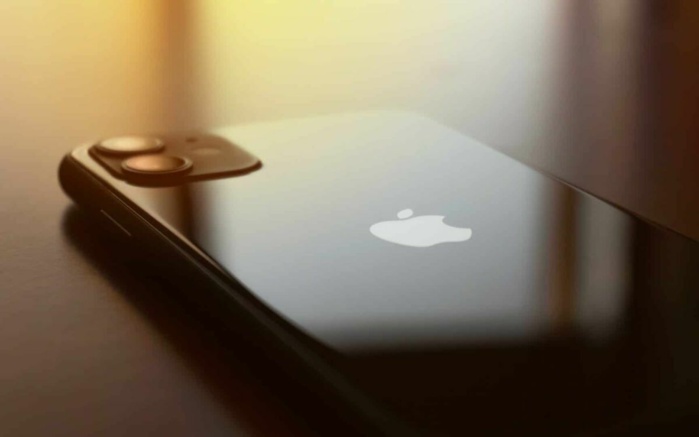 Vol d'Iphone : Un pickpocket condamné à cinq mois d’emprisonnement ferme