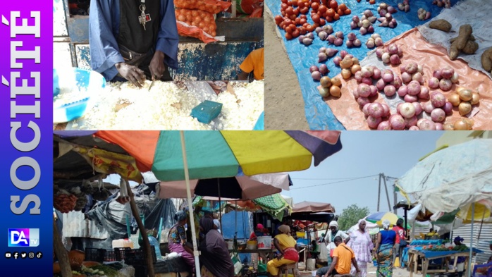 KOLDA : Cherté de l’oignon…souffrances des ménagères…