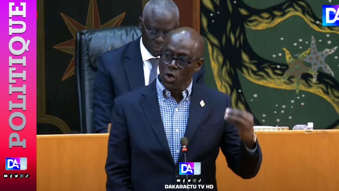 Thierno Alassane Sall: « C’est grave de convoquer cette séance plénière sur une simple présomption d’allégations… »