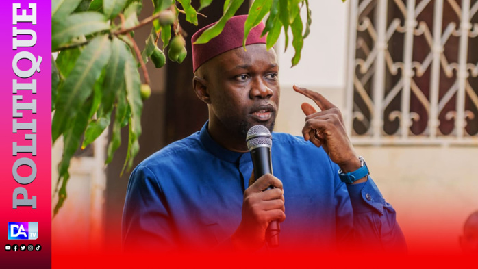 SJD sur le report : " J'avais dit à Alioune Tine qu'une élection sans Ousmane Sonko, n'est pas une élection!" SJD sur le report : " J'avais dit à Alioune Tine qu'une élection sans Ousmane Sonko, n'est pas une élection!"