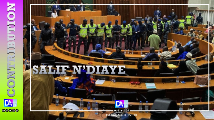 LE DECRET ET LA LOI 4/2024 A LA POUBELLE ( Par Salif N’diaye ) LE DECRET ET LA LOI 4/2024 A LA POUBELLE ( Par Salif N’diaye )