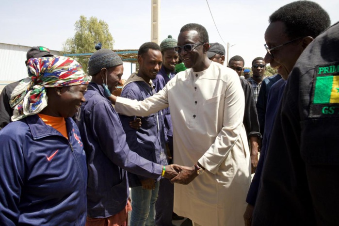 Élevage : Le PM Amadou BA réceptionne 1300 génisses gestantes à haut potentiel de laitier, à Niague Élevage : Le PM Amadou BA réceptionne 1300 génisses gestantes à haut potentiel de laitier, à Niague