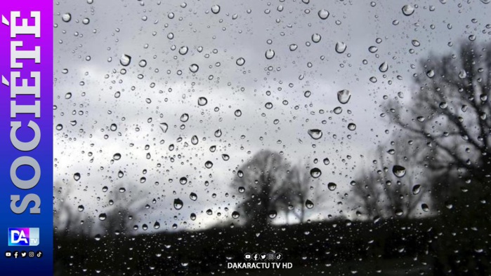 KOLDA : Une fine pluie annonce l'hivernage... KOLDA : Une fine pluie annonce l'hivernage...