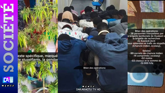 Opération de patrouilles: La gendarmerie dresse un bilan de 28 interpellations, 99 cornets, 14 comprimés d'ecstasy, et deux moto saisis Opération de patrouilles: La gendarmerie dresse un bilan de 28 interpellations, 99 cornets, 14 comprimés d'ecstasy, et deux moto saisis