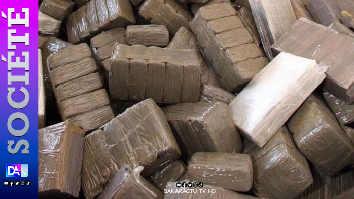 Pointe-Sarène: La douane met la main sur 234 kg de cannabis