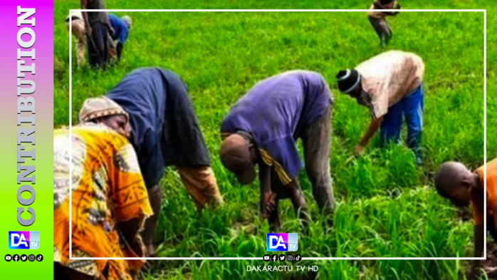 Contribution à la réorganisation institutionnelle de la recherche agricole au Sénégal Contribution à la réorganisation institutionnelle de la recherche agricole au Sénégal