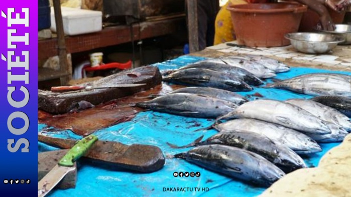 Palais de justice: une vendeuse de poisson arrêtée en possession de Hashich prend 15 jours fermes de prison