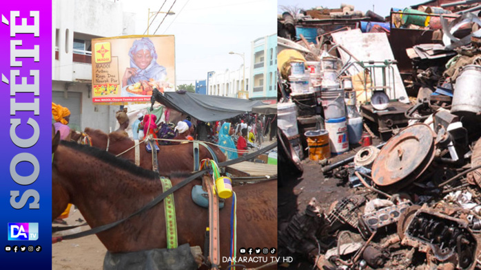 Palais de justice: 2 jeunes charretiers âgés de 19 et 20 ans écopent de 2 ans de prison pour vol de ferraille Palais de justice: 2 jeunes charretiers âgés de 19 et 20 ans écopent de 2 ans de prison pour vol de ferraille