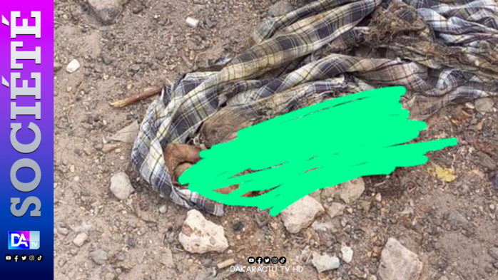 Ziguinchor: le corps sans vie d’un nouveau-né retrouvé dans un canal Ziguinchor: le corps sans vie d’un nouveau-né retrouvé dans un canal