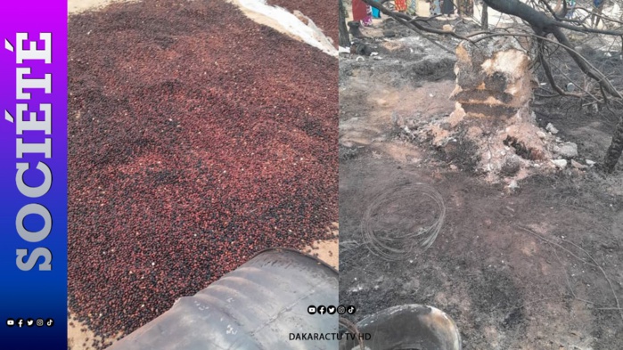 Gassane :  Un incendie décime 30 concessions, des semences et beaucoup d’engrais partis en fumée
