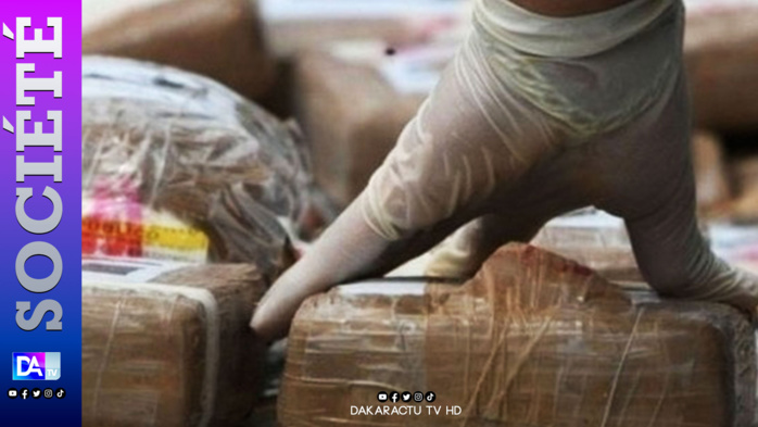 Trafic de drogue: 310 kg de cocaïne trouvés sur 3 européens