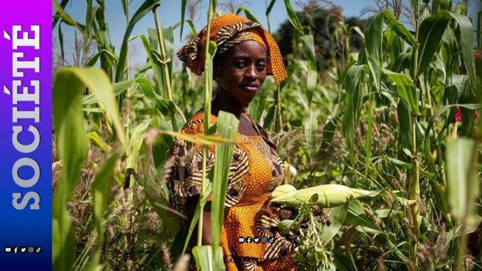 Activités Agricoles et fonciers : l’ANFF se félicite des nouvelles mesures du ministre de l’Agriculture Activités Agricoles et fonciers : l’ANFF se félicite des nouvelles mesures du ministre de l’Agriculture