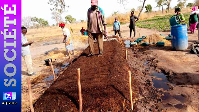 MAMPATIM (Kolda) : Formation des communautés a l’épreuve des réalités du changement climatique… MAMPATIM (Kolda) : Formation des communautés a l’épreuve des réalités du changement climatique…