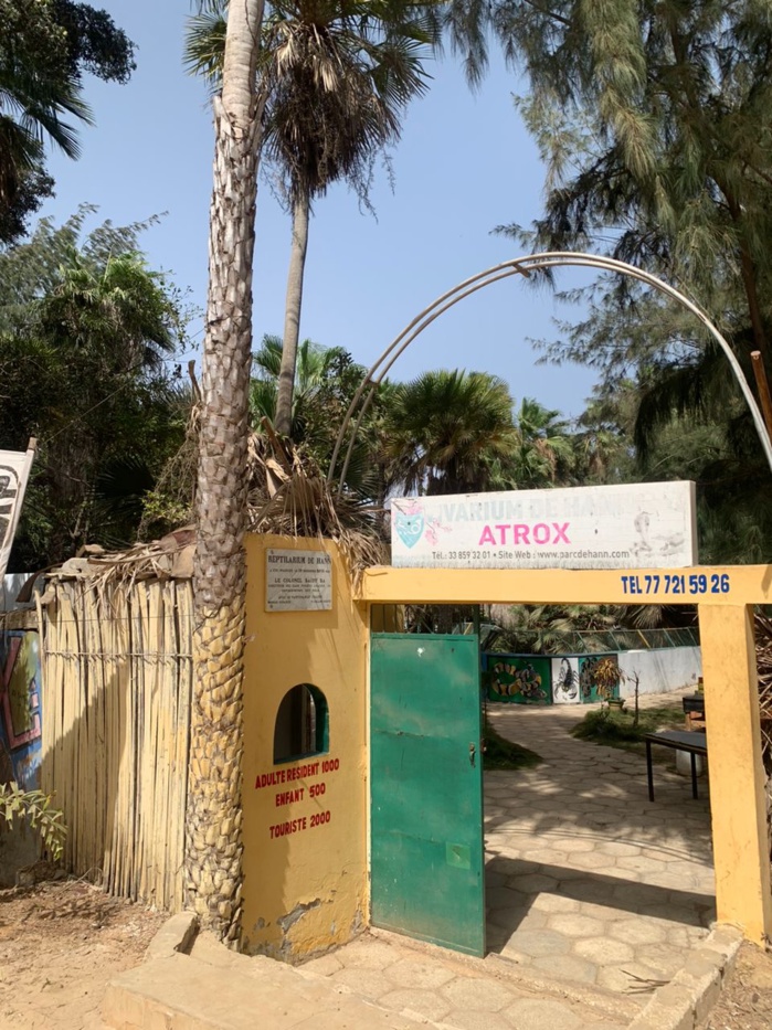 Journée mondiale de la Tortue : L’histoire jamais racontée de l’une des plus anciennes créatures de l’humanité Journée mondiale de la Tortue : L’histoire jamais racontée de l’une des plus anciennes créatures de l’humanité