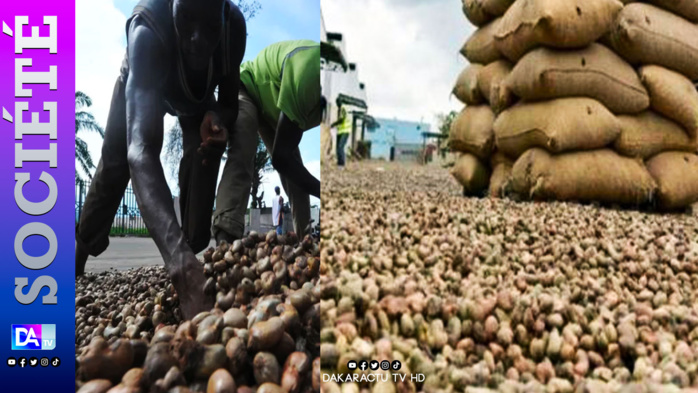 Transport de noix d'anacarde : L'autorité rouvre la voie terrestre, aux 250 camions bloqués, ce lundi Transport de noix d'anacarde : L'autorité rouvre la voie terrestre, aux 250 camions bloqués, ce lundi