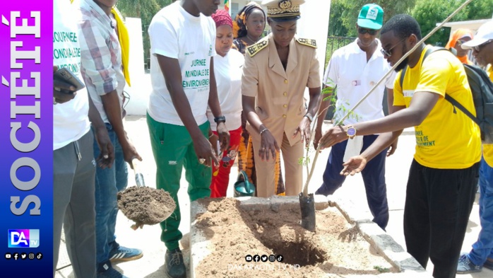 Journée mondiale de l’environnement à Kolda : 390 cas d’incendie en 5 ans avec 78 cas par an…plus de 20 millions d’arbres coupés …(organisateurs) Journée mondiale de l’environnement à Kolda : 390 cas d’incendie en 5 ans avec 78 cas par an…plus de 20 millions d’arbres coupés …(organisateurs)