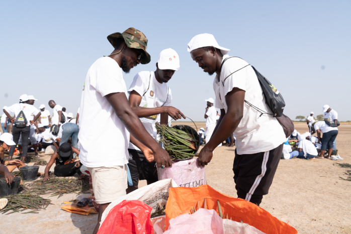 Journée Mondiale de l'Environnement : Sonatel et la plateforme Orange Engage for Change, s’engagent… Journée Mondiale de l'Environnement : Sonatel et la plateforme Orange Engage for Change, s’engagent…