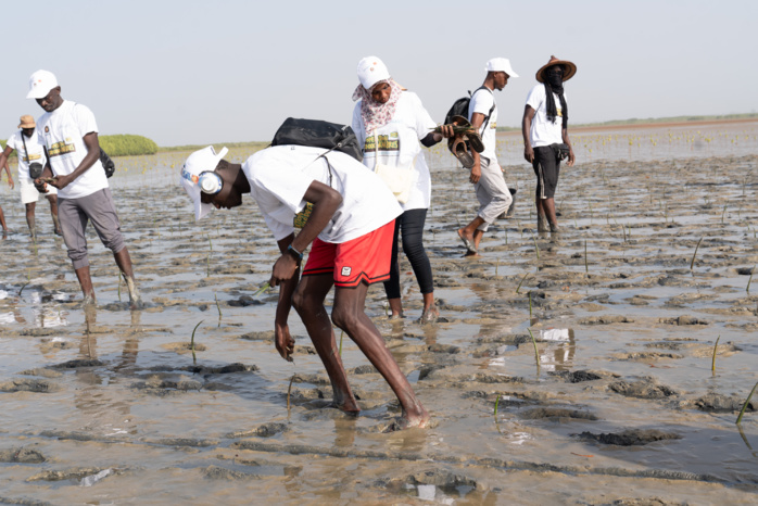 Journée Mondiale de l'Environnement : Sonatel et la plateforme Orange Engage for Change, s’engagent… Journée Mondiale de l'Environnement : Sonatel et la plateforme Orange Engage for Change, s’engagent…