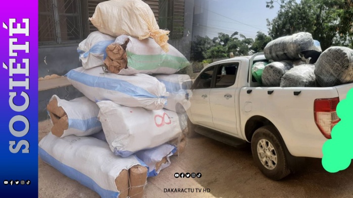 Thiés-Kaolack : L’OCRTIS a saisi 285 kg de chanvre indien le weekend et arrêté deux personnes Thiés-Kaolack : L’OCRTIS a saisi 285 kg de chanvre indien le weekend et arrêté deux personnes