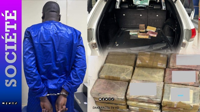 Douanes: Saisie de 108,7 kg de cocaïne à Kalifourou d'une contrevaleur de 8.700.000.000 de Fcfa Douanes: Saisie de 108,7 kg de cocaïne à Kalifourou d'une contrevaleur de 8.700.000.000 de Fcfa