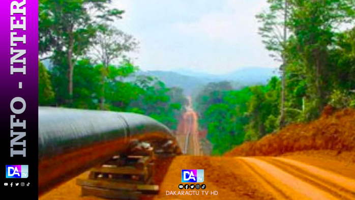 Niger: un mouvement rebelle annonce avoir mis "hors d'usage" une partie d'un oléoduc Niger: un mouvement rebelle annonce avoir mis "hors d'usage" une partie d'un oléoduc